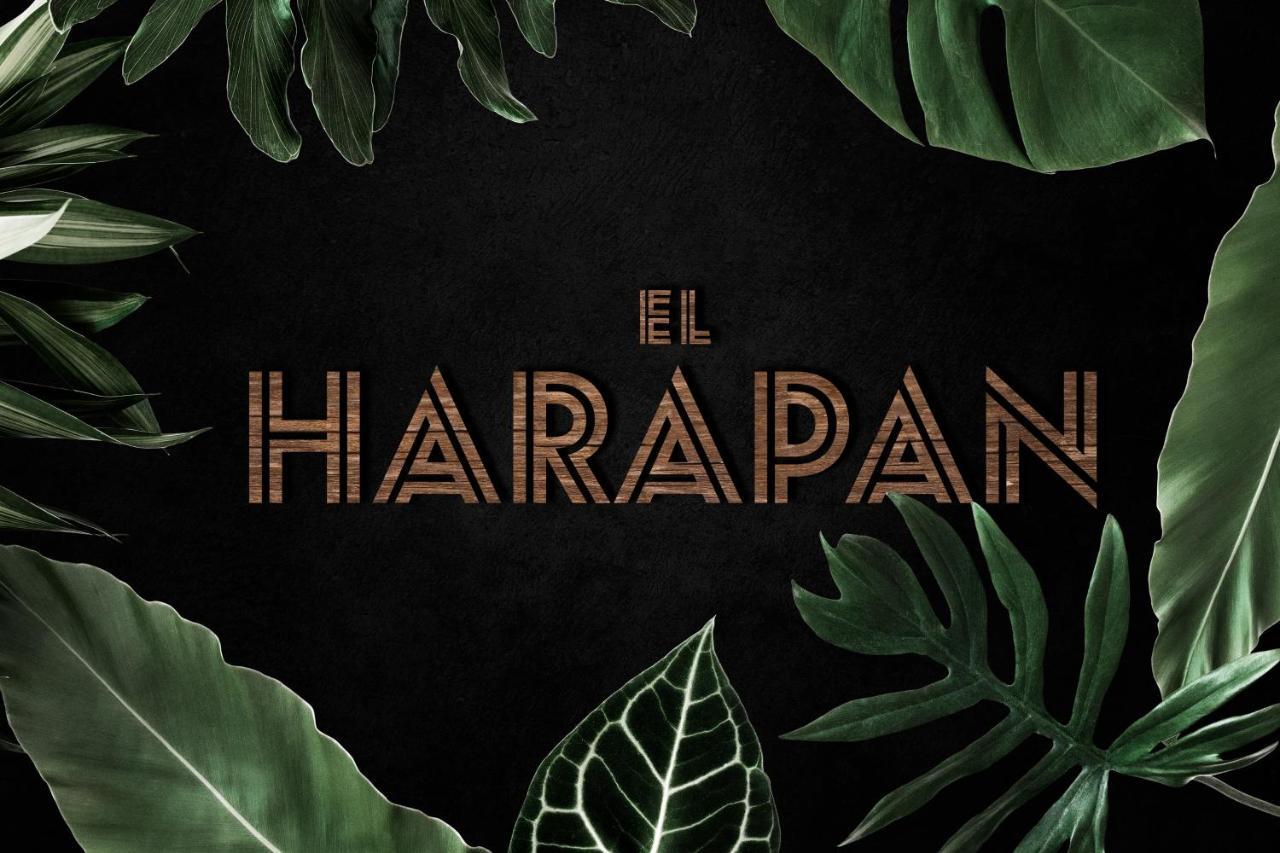 El Harapan - Sumergete En Una Selva A Pie De Playa - Grupo Querbes Gijón Buitenkant foto